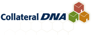 Visit Collateral DNA